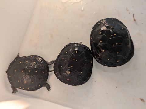 PXL_20240930_082213676