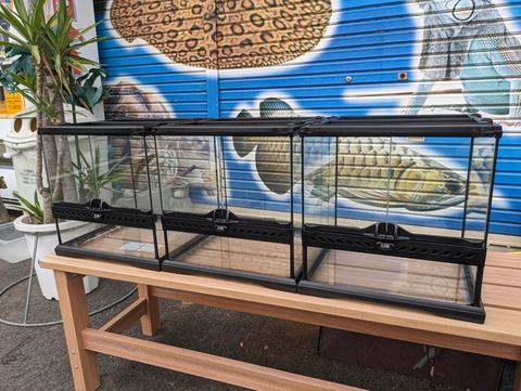 PXL_20240522_073511806