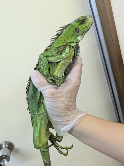 PXL_20240926_092625139~2