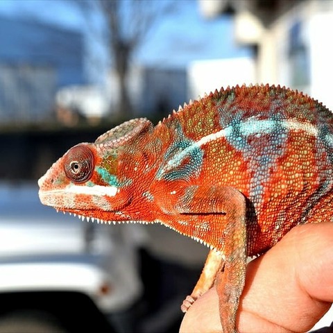 IMG_20190318_124753_337