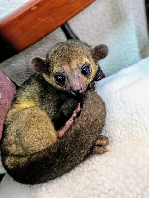 PXL_20240601_094249822~3