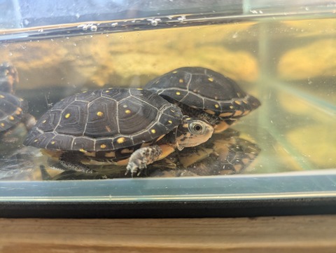 PXL_20240930_082258560