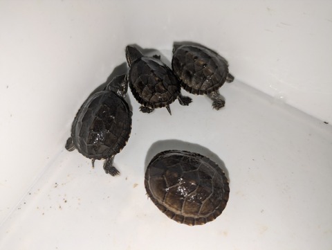 PXL_20240926_094810060