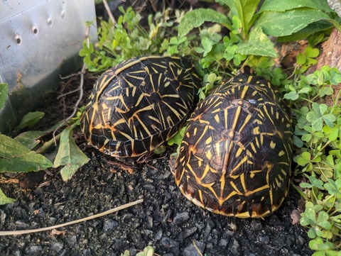 PXL_20240930_082508557