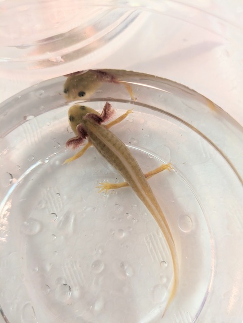 PXL_20240906_084136458~2