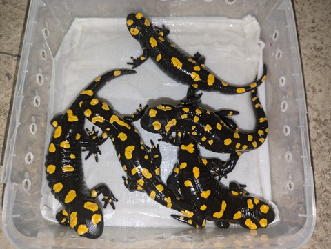 PXL_20240806_084930215