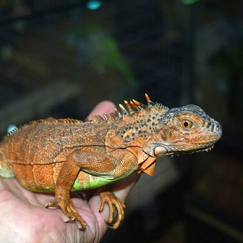 IMG_20191221_232048_579