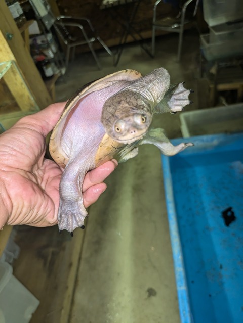 PXL_20240926_094452599