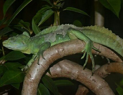 [画像:71a58c62.jpg]