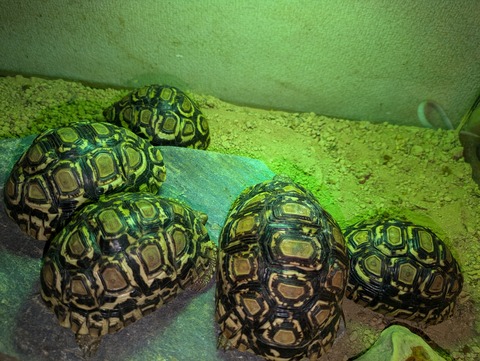 PXL_20240714_063815839