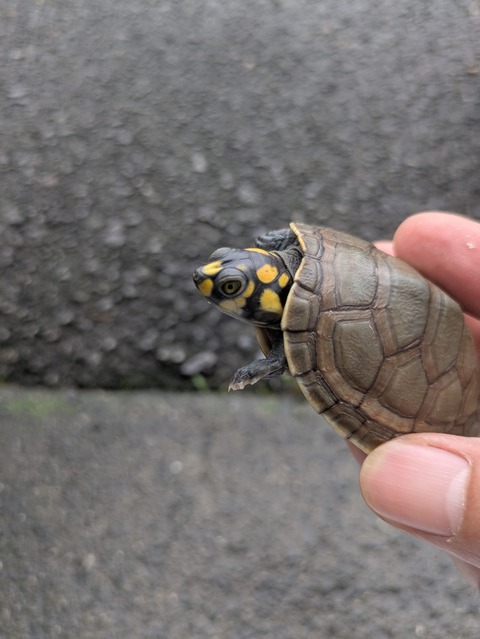 PXL_20250516_063153403