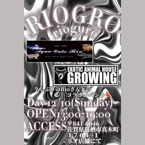 IMG_20231203_213826_838