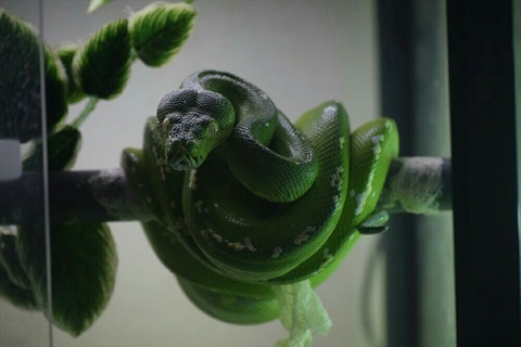 [画像:7bb8326b-s.jpg]