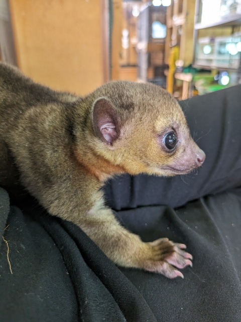 PXL_20240605_081638818