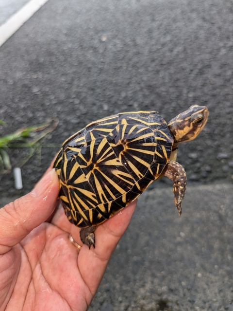 PXL_20240826_073956105