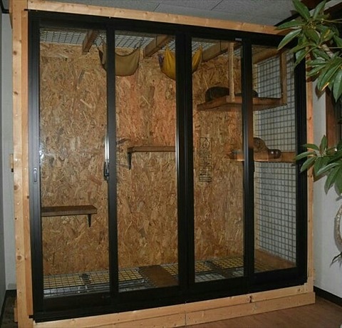 IMG_20180117_135245_608