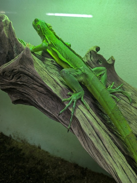 PXL_20240926_092354475