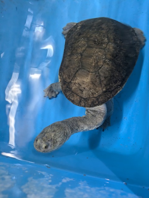 PXL_20240926_091930974