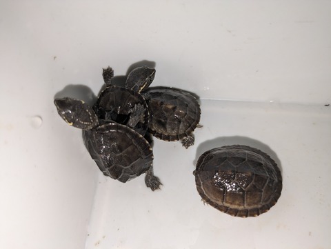 PXL_20240926_094819383