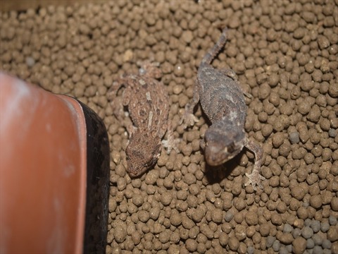 line_234459769537848