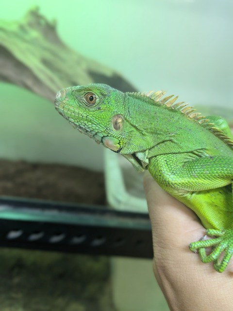 PXL_20240926_092341807~2