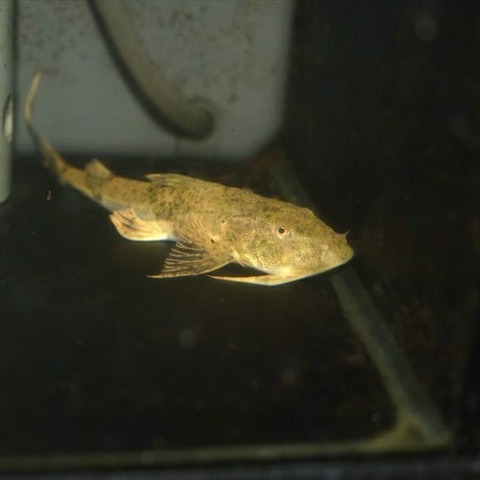 IMG_20191221_224656_194