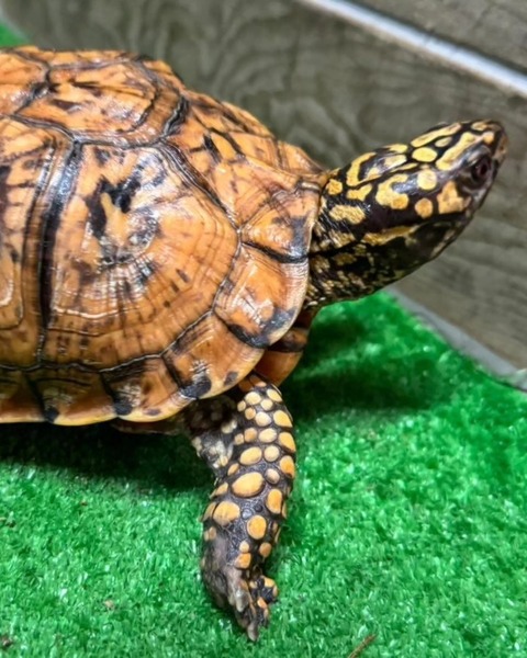 IMG_20240308_235601_630