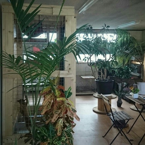 [画像:96945065-s.jpg]