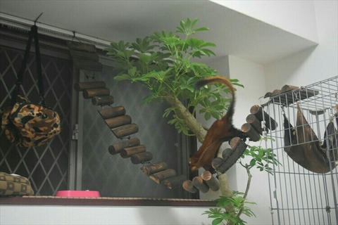 [画像:99872863-s.jpg]