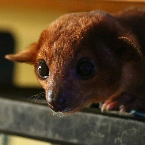 IMG_20171024_002949_368