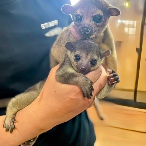 IMG_20240501_141210_133