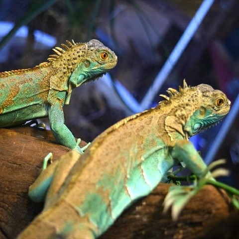 IMG_20191221_232048_582