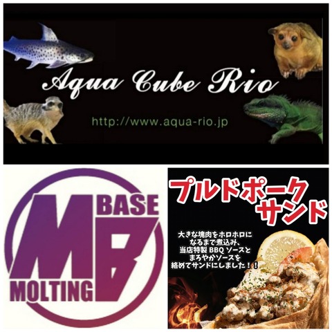 CollageMaker_20211208_190033768