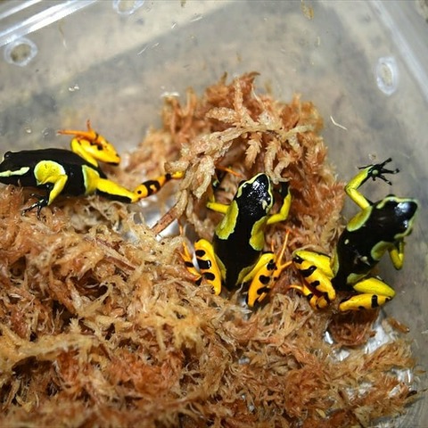 IMG_20191221_224656_213