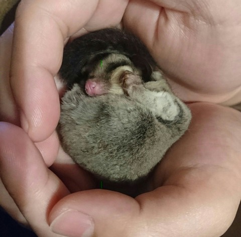 [画像:a5e8ea58-s.jpg]