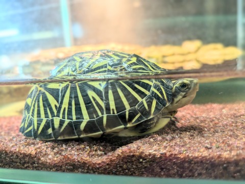 PXL_20240826_074825707~2