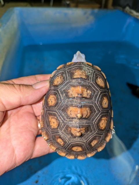 PXL_20240826_073714801