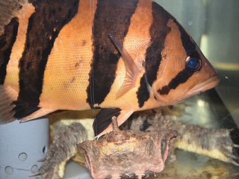 line_267357769343612