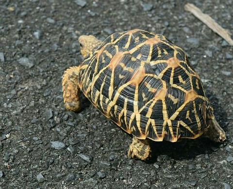 [画像:b5e0e920-s.jpg]