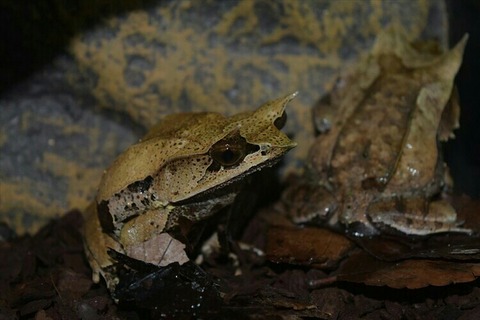 [画像:b6733615-s.jpg]