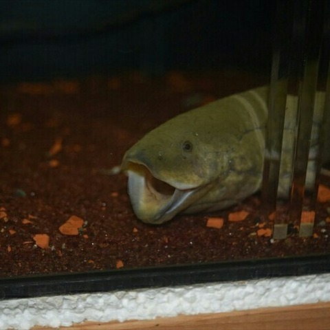 [画像:ba30a76d-s.jpg]