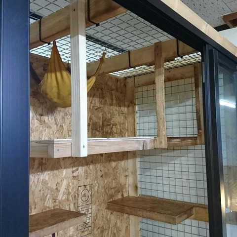 IMG_20180127_205301_107