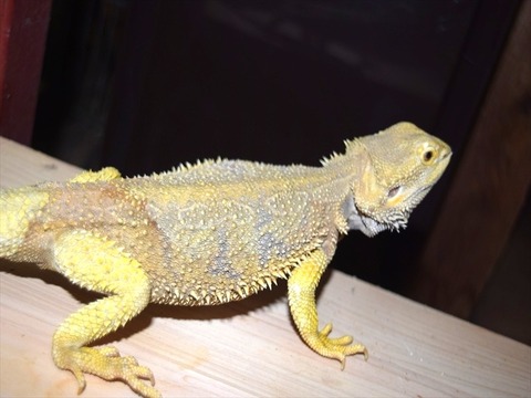 _20201204_223336