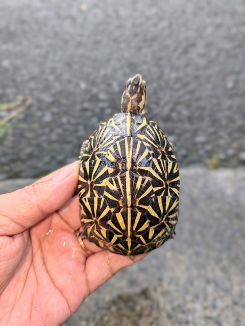 PXL_20240826_073927644~2