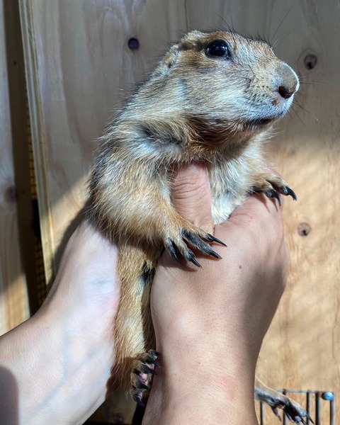 IMG_20230821_001011_743