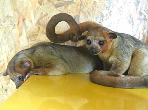 IMG_20171104_191323_149