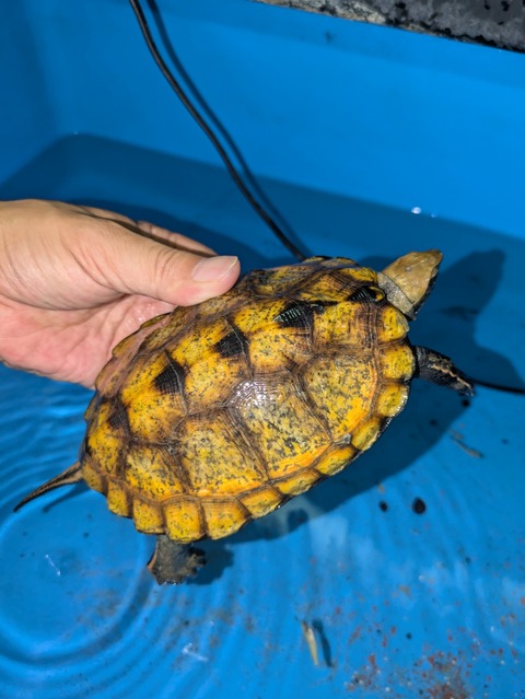 PXL_20240802_041308905