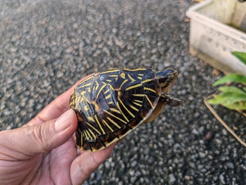 PXL_20240930_082526431