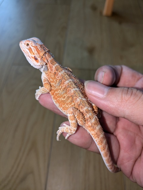 PXL_20240725_013339571