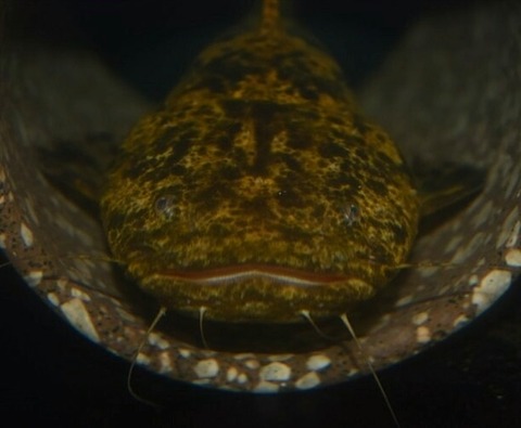 IMG_20180427_141128_555